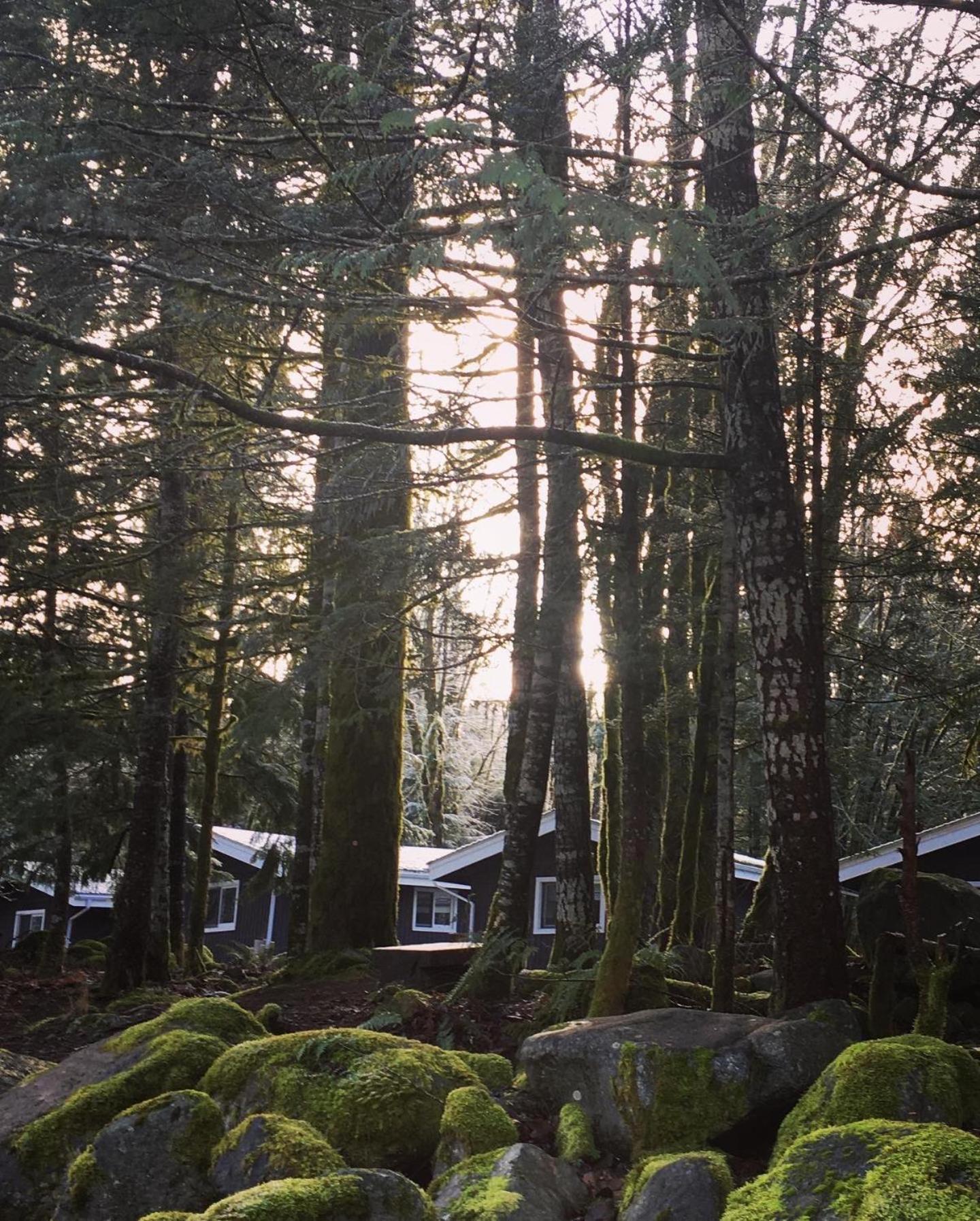 Sunwolf Riverside Cabins Brackendale Bagian luar foto